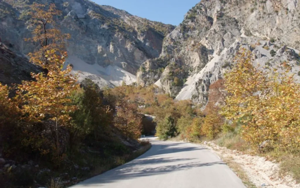 todaugi