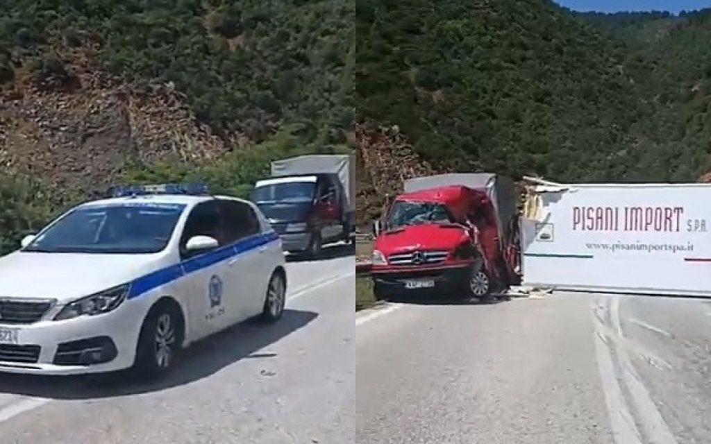 troxaio trigona