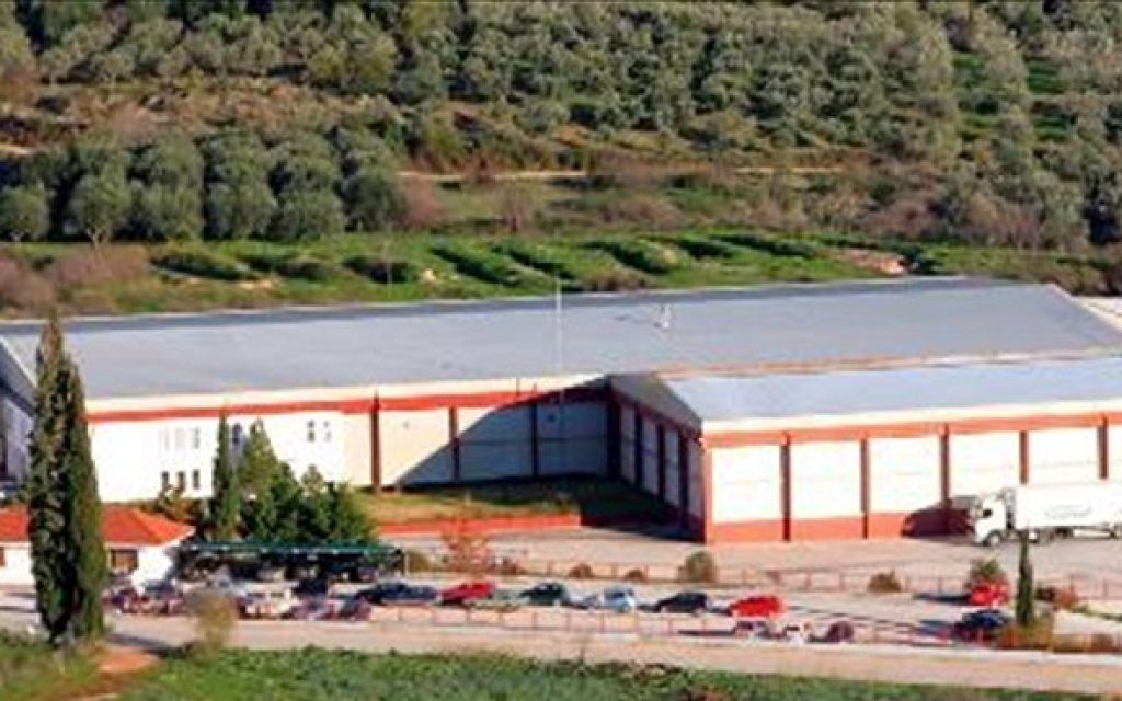 viomixania epirus