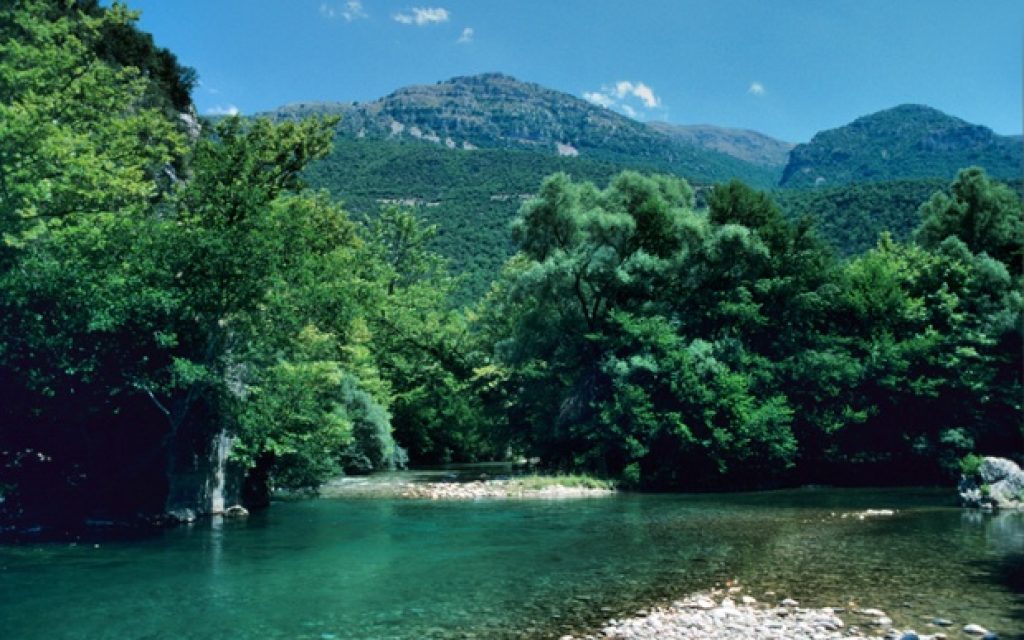 voidomatis