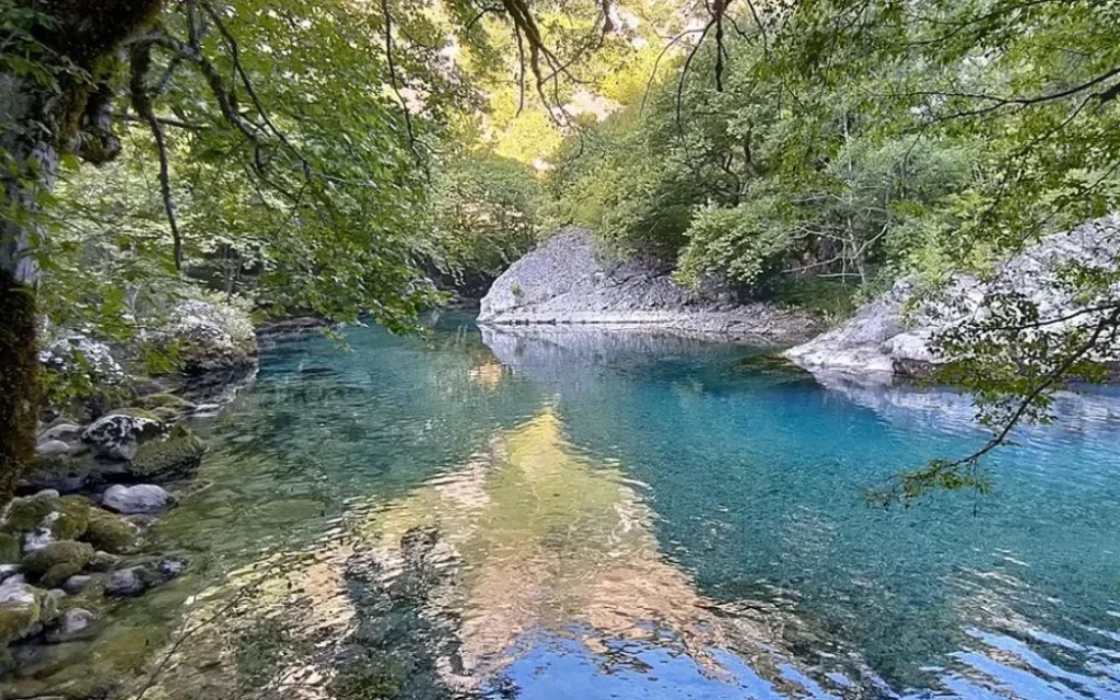 voidomatis