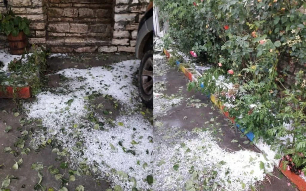 xalazi laka suli