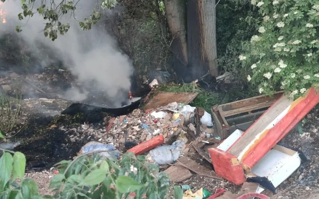 xomateri paralimnios