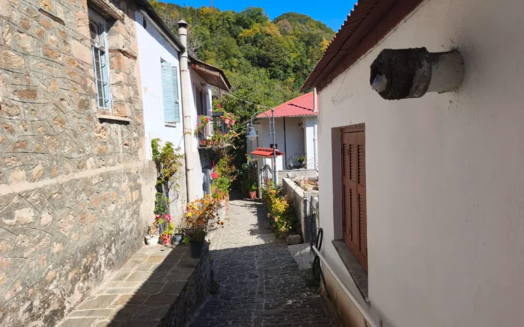 xorio