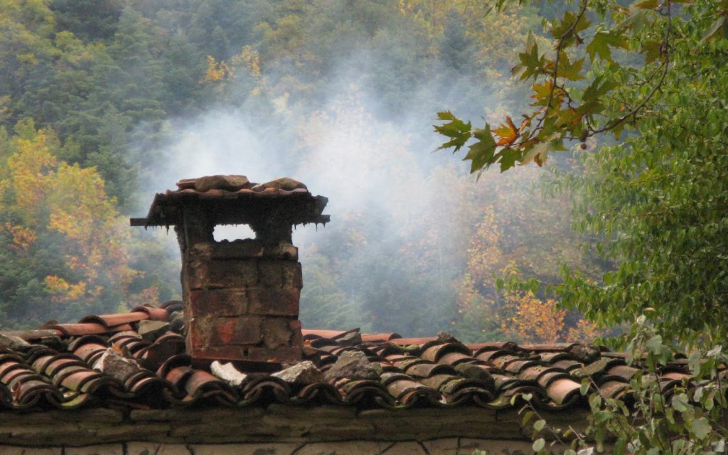 xorio tzaki