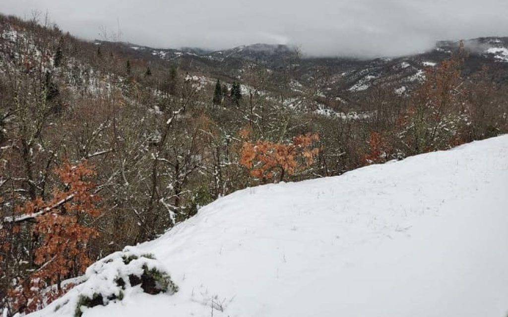 zagori