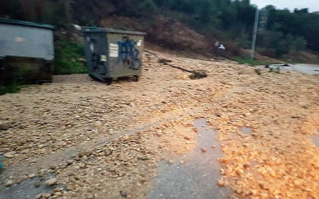 zimies preveza1