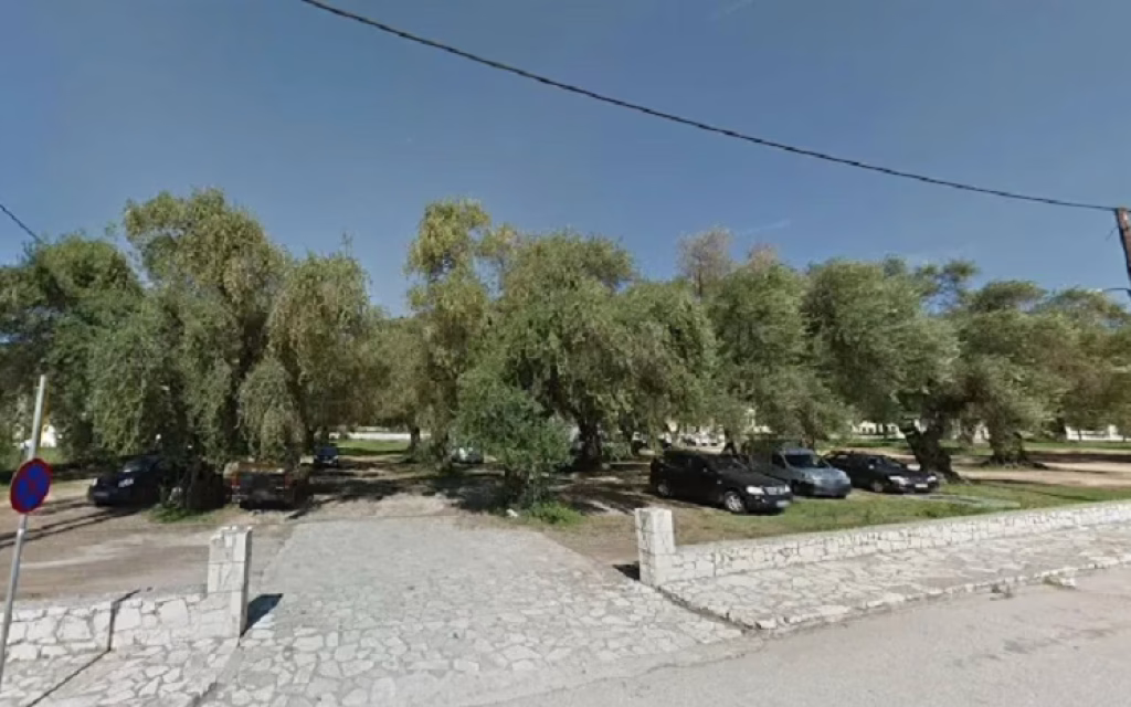 ελαιονασ