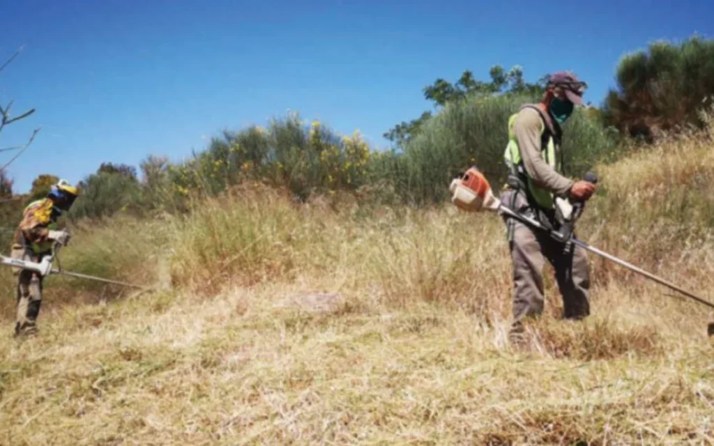 οικοπεδα καταρισμοσ